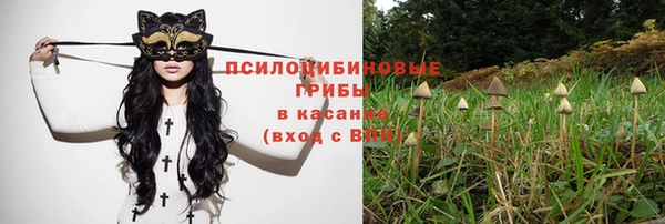 крисы Арсеньев