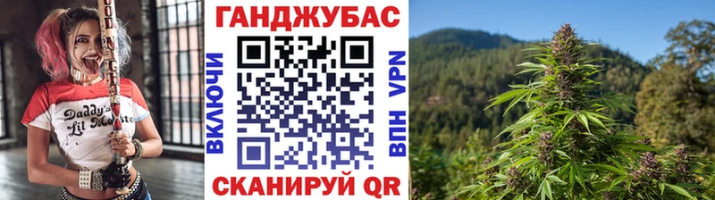 Шишки марихуана план Судак